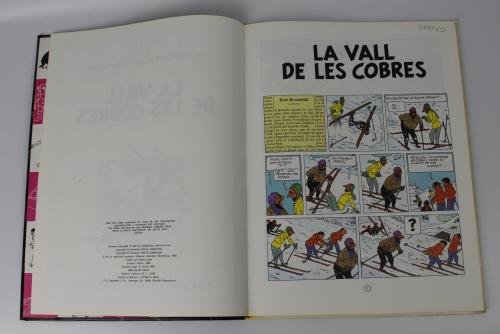 "LA VALL DE LES COBRES"
