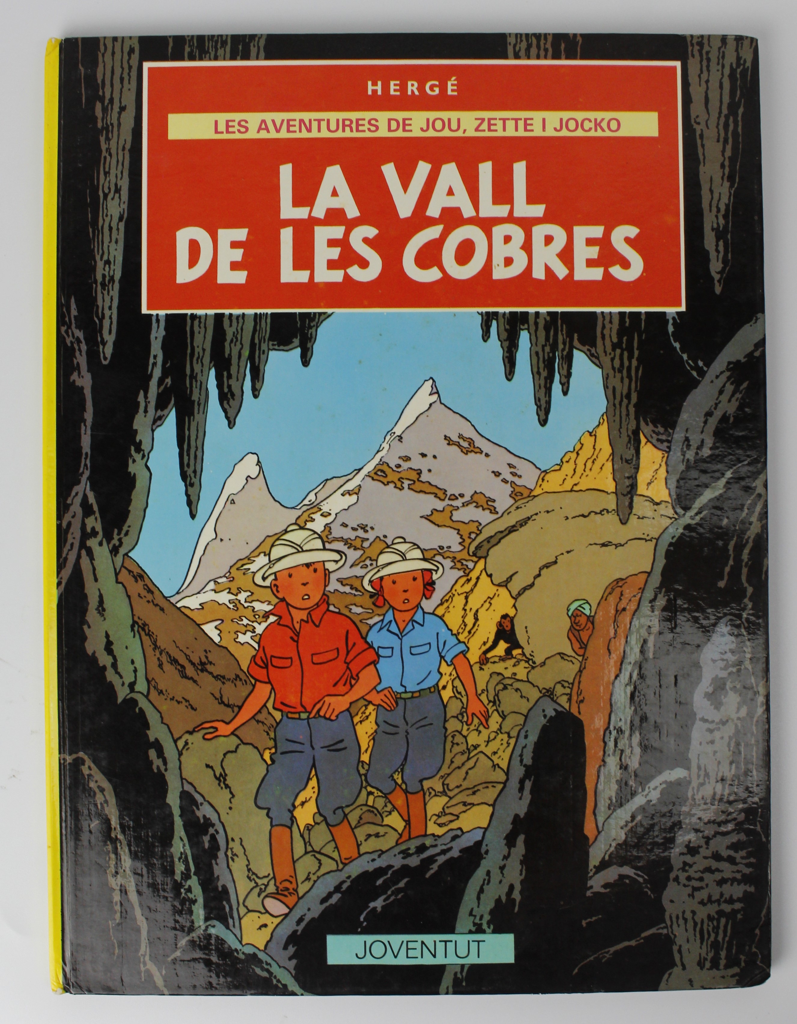 "LA VALL DE LES COBRES"