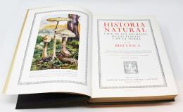 344 - "HISTORIA NATURAL"
