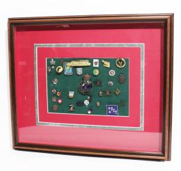 371 - COLECCION DE INSIGNIAS