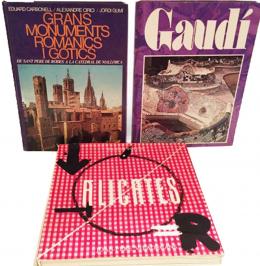 450 - TRES LIBROS DE ARTE