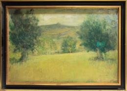 749 - VALLS TRULLAS, JOAN ANTONI