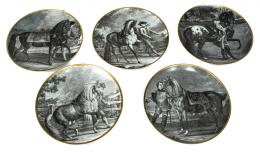 503 - CINCO PLATOS DECORATIVOS EN PORCELANA