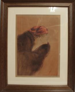 881 - FIRMADO ILEGIBLE