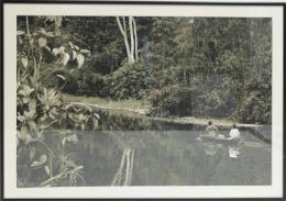 417 - FOTOGRAFÍA