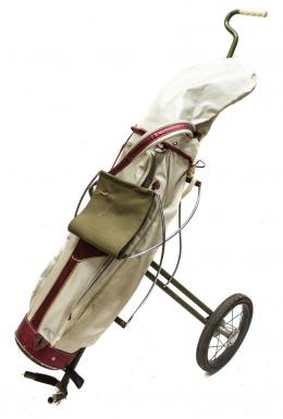 966 - BOLSA DE GOLF Y CARRO