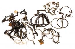 1020 - LOTE EQUESTRE