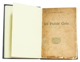 243 - "EL POBLE GRIS"