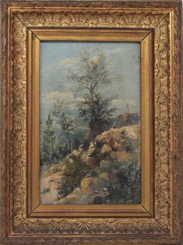 617 - FIRMADO ILEGIBLE