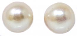 135 - PENDIENTES DORMILONAS CON PERLAS AKOYA