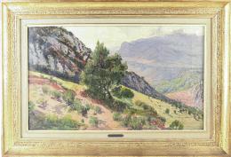 644 - VILA CINCA, JOAN