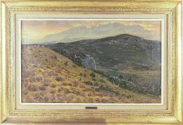 592 - VILA CINCA, JOAN