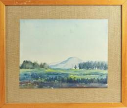 734  -  LLOVERAS, FREDERIC