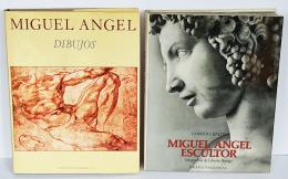 148 - DOS LIBROS SOBRE MIGUEL ANGEL
