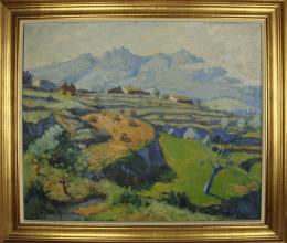 541 - BAQUÉ MERCADER, JOSEP ORIOL