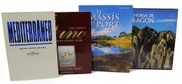 290 - LOTE DE CUATRO LIBROS