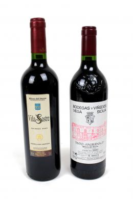 1100 - BOTELLA DE VINO "VEGA SILICIA"