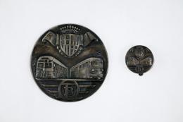 391 - MEDALLA Y PIN