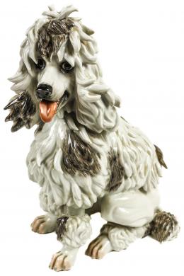 446 - "CANICHE"