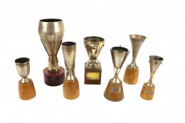 702 - LOTE DE TROFEOS DE PLATA