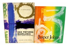 255 - DOS LIBROS DE PINTORES CONTEMPORÁNEOS.