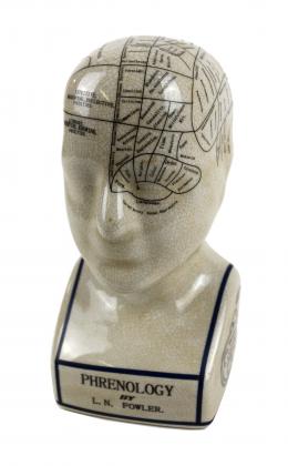 478 - PEQUEÑA CABEZA FRENOLOGICA