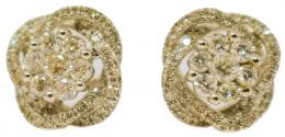 157 - PENDIENTES ROSETONES FLOR