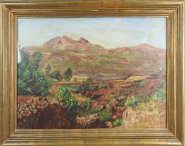 583 - DOMINGO SEGURA, FRANCESC