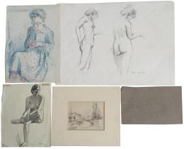 13 - COLECCIÓN DE 5 DIBUJOS