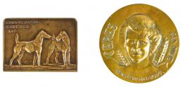 369 - DOS MEDALLAS CONMEMORATIVAS EN BRONCE