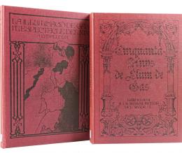 289 - DOS LIBROS DE CATALANA DE GAS