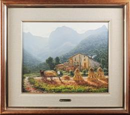 528 - COLLDECARRERAS, PERE