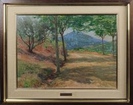 595 - MESTRES BORRELL, FELIX
