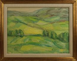 554 - COLMEIRO, MANUEL