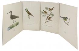 245 - CUATRO LITOGRAFIAS DE PRINCIPIOS DE S. XX