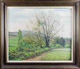 53  -  CASANOVAS MOLIST, JOAN