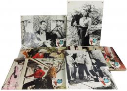 279 - COLECCIÓN DE 11 LOBBY CARDS DE MEDIADOS DE S. XX 