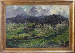 591 - MARSILLACH CODONY, JOAQUIM