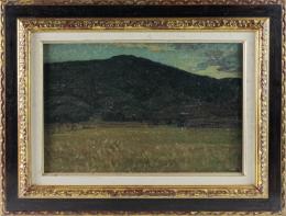 648 - VANCELLS I VIETA, JOAQUIM