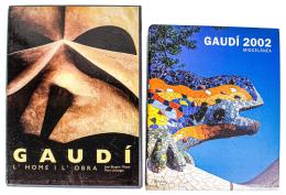 432  -  DOS LIBROS SOBRE GAUDÍ