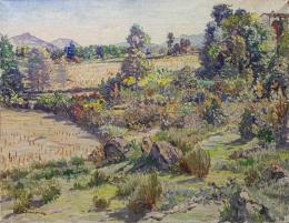 164  -  LLIMONA BENET, RAFAEL