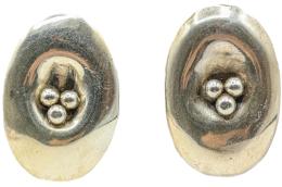 250  -  PENDIENTES TONI PAREDES