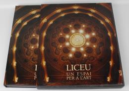 46 - "LICEU, UN ESPAI PER L'ART"