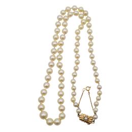 181  -  COLLAR DE PERLAS DE MEDIADOS S.XX