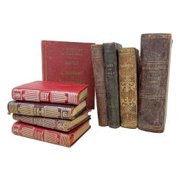 438 - LOTE DE PEQUEÑOS LIBROS