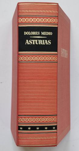 290  -  ASTURIAS.   