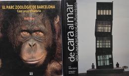 354  -  DOS LIBROS SOBRE TEMAS MONOGRÁFICOS DE BARCELONA