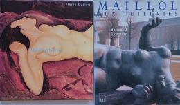 408  -  DOS LIBROS SOBRE MODIGLIANI Y MAILLOL.   