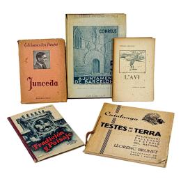 247 - CINCO LIBROS VARIADOS 