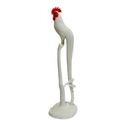 453 - GALLO "ONAGADORI" CIRCA 1960